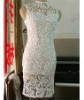 Women's Round Neck Lace Dress , Lace Above Knee Sleeveless