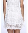 Women's Fashion Lace Sexy Dress