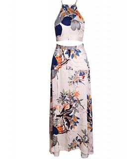 Women's Vintage Sexy Beach Print Cute Plus Sizes Micro Elastic Sleeveless Maxi Dress (Microfiber)